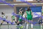 PAO-Maked_251