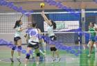 PAO-Maked_327