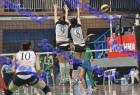 PAO-Maked_331