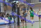 PAO-Maked_391