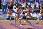 DSC_7292