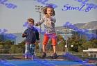 DSC_8324
