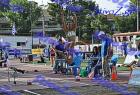 DSC_2040