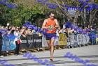 DSC_7390