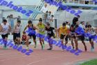 thodeia_254