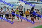 thodeia_255