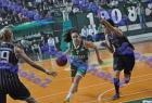 PAO-Proteas_419