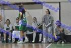 PAO-Proteas_520