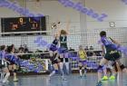 DSC_8488