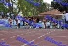 gala_810