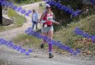 DSC_4650