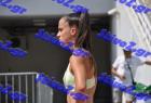 pp_A_pr_0650