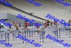 pp_A_tel_0194