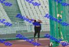 pp_A_tel_0349
