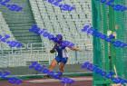 pp_A_tel_0354