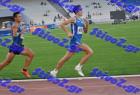 pp_A_tel_0680