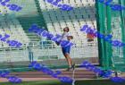 pp_B_tel_0202