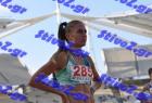 pp_B_tel_0253