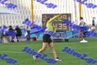 pp_B_tel_0359