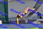 pp_B_tel_0627