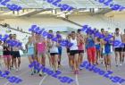 pp_B_tel_0671