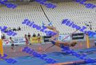 pp_B_tel_0777
