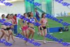 pp_B_tel_0837