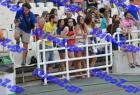 pp_B_tel_0901