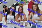 pp_B_tel_0974
