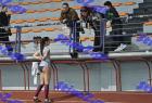 sef_0378