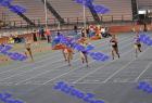 sef_0393