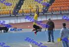 sef_0427