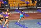 sef_1021