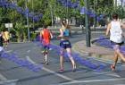 halfmarathon_314