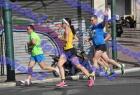 halfmarathon_350