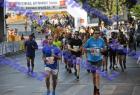 halfmarathon_375
