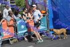 halfmarathon_771