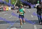 halfmarathon_846
