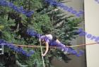 DSC_6993
