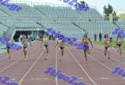 patra_0182