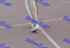 patra_0228