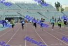 patra_0259
