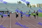 patra_0260