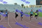 patra_0262