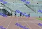 patra_0310
