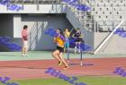 patra_0393