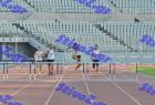 patra_0457