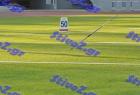 patra_0799