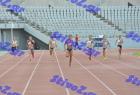 patra_0963