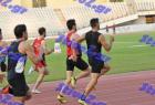 patra_1074